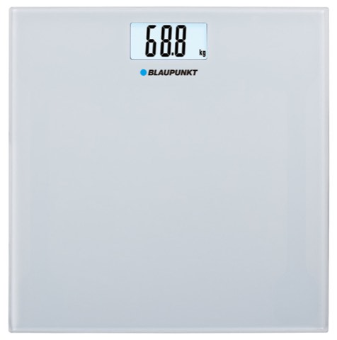Blaupunkt BSP301