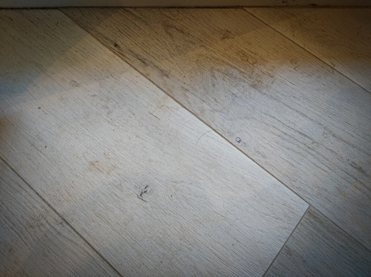Błotniste ślady psich łap na jasnych panelach winylowych w salonie